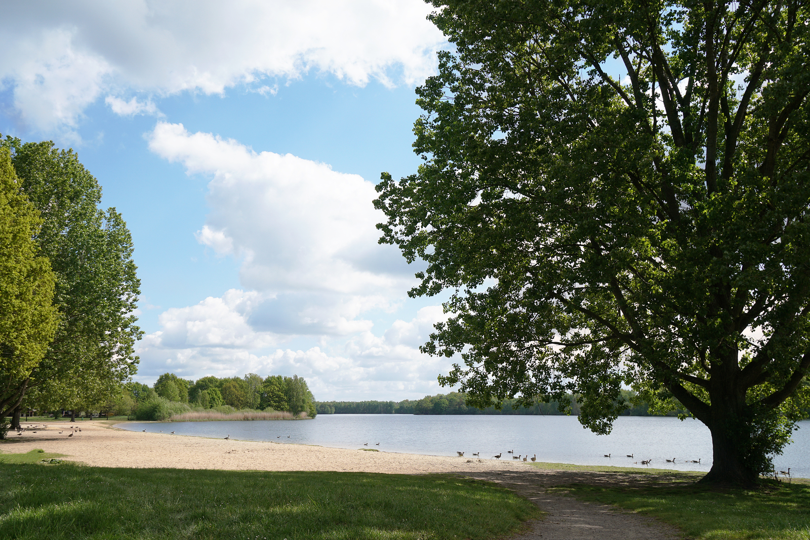 bigstock-Bathing-Lake-With-Empty-Beach-300028981