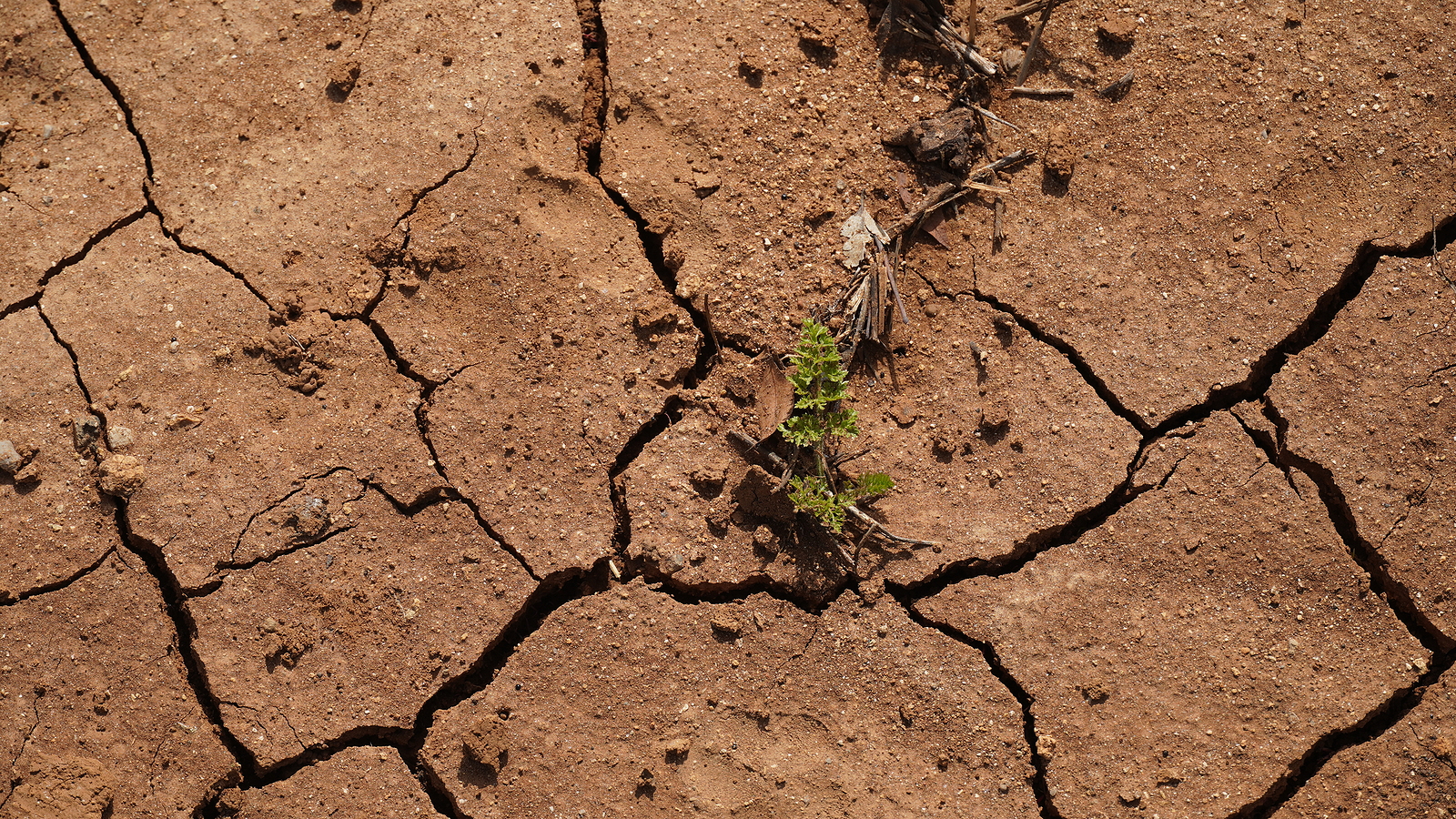 bigstock-Climate-Change-Drought-Land