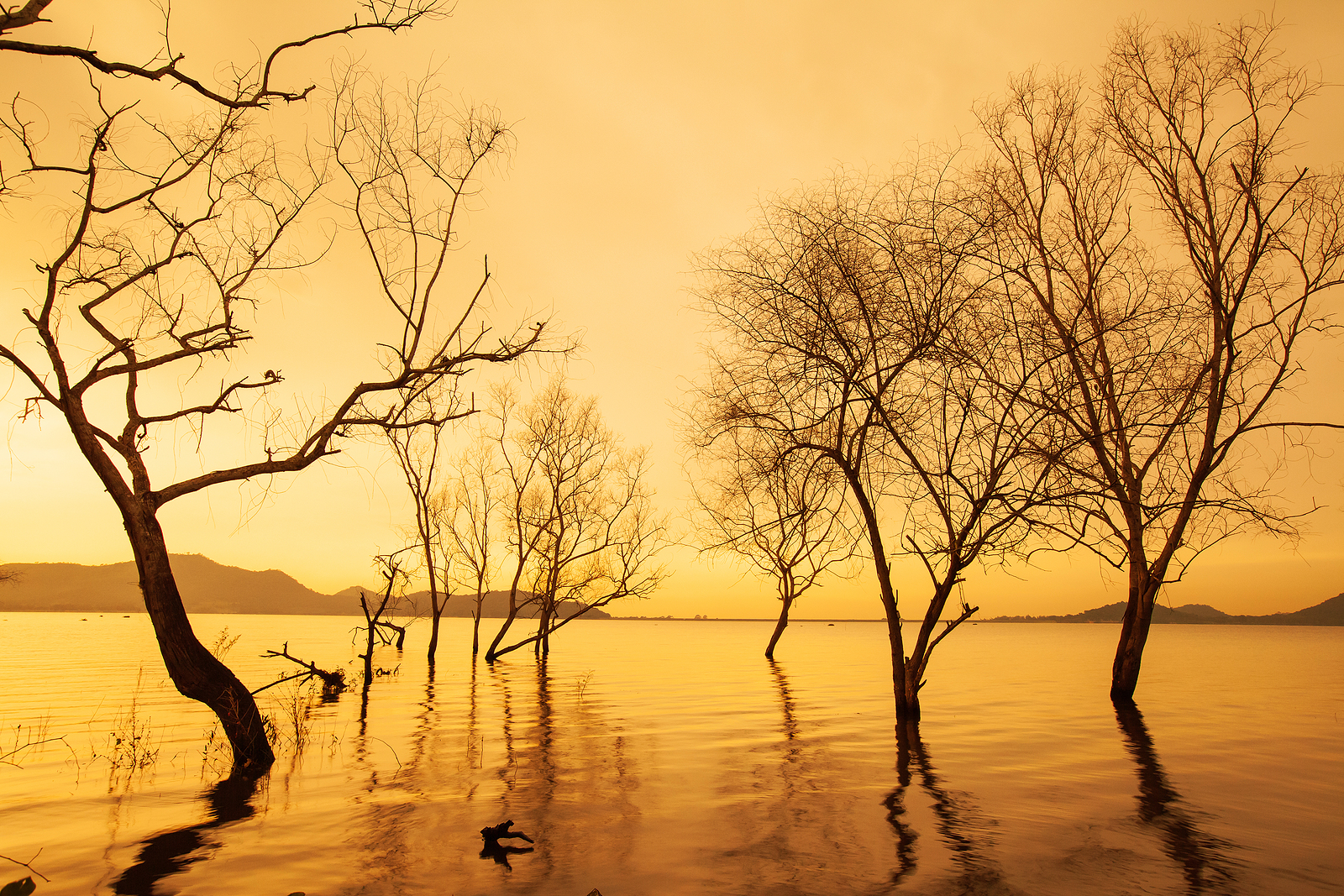 bigstock-The-Landscape-Of-A-Tropical